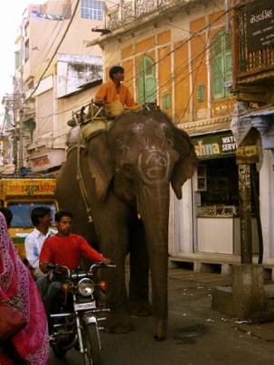 india13_r.jpg